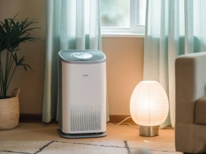 air purifier benefits for a healthier living environment